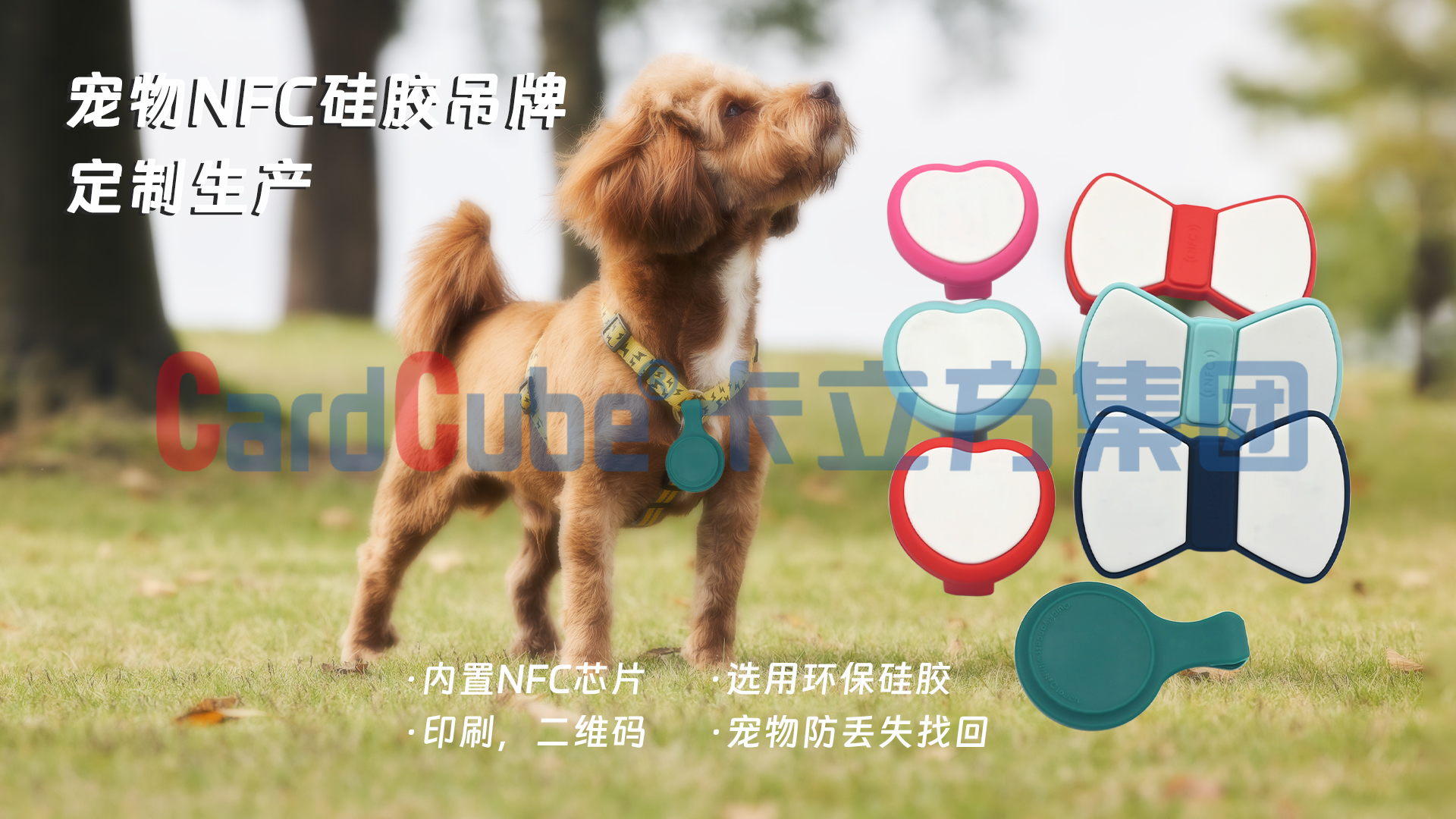 微信图片_20250305173845