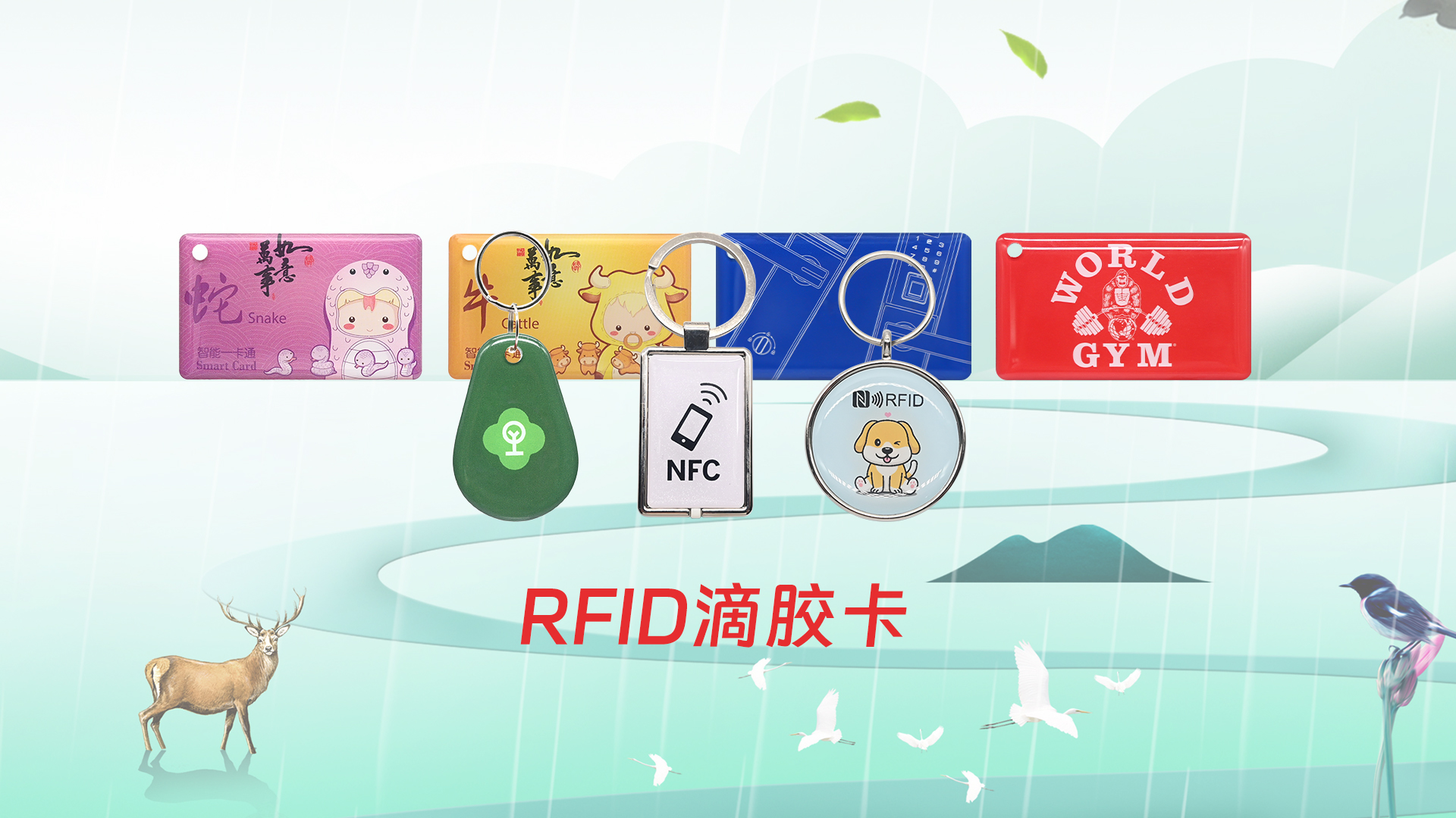 微信图片_20250402134524